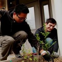 Students plant landscaping outside a building.